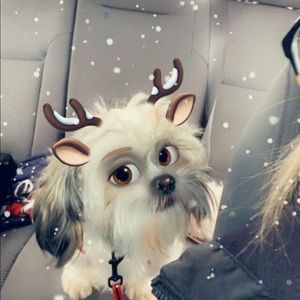 Meet your Posher, Helen